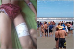 Presença de tubarões em praias de SP marcam o feriado e deixam banhistas em pânico