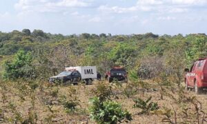 Homem que confessou ter matado o pai à pauladas foi encontrado