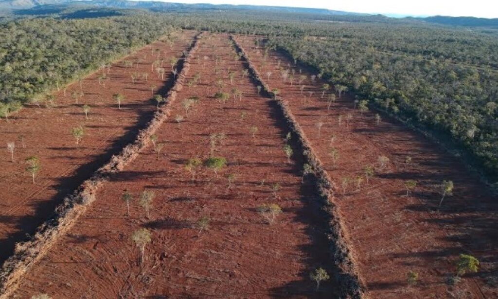 Fiscalização Estadual flagra desmatamento em Cavalcante