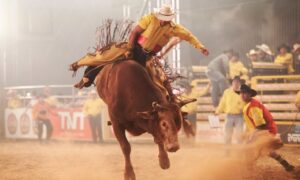 Governo Estadual libera a volta de rodeios e exposições agropecuárias