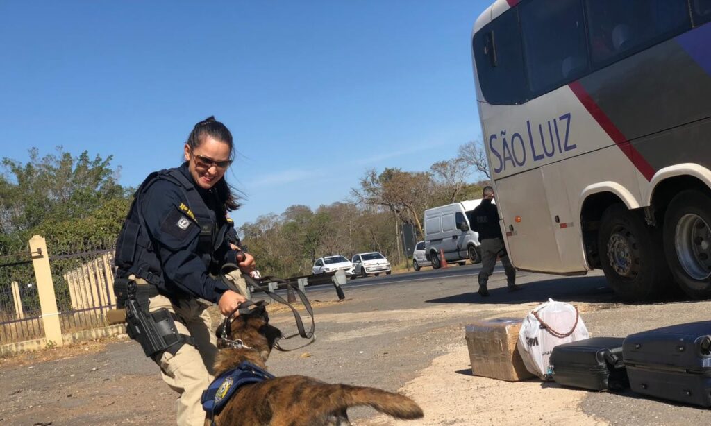 Apreensão de drogas nas rodovias goianas tem aumento de 1000%