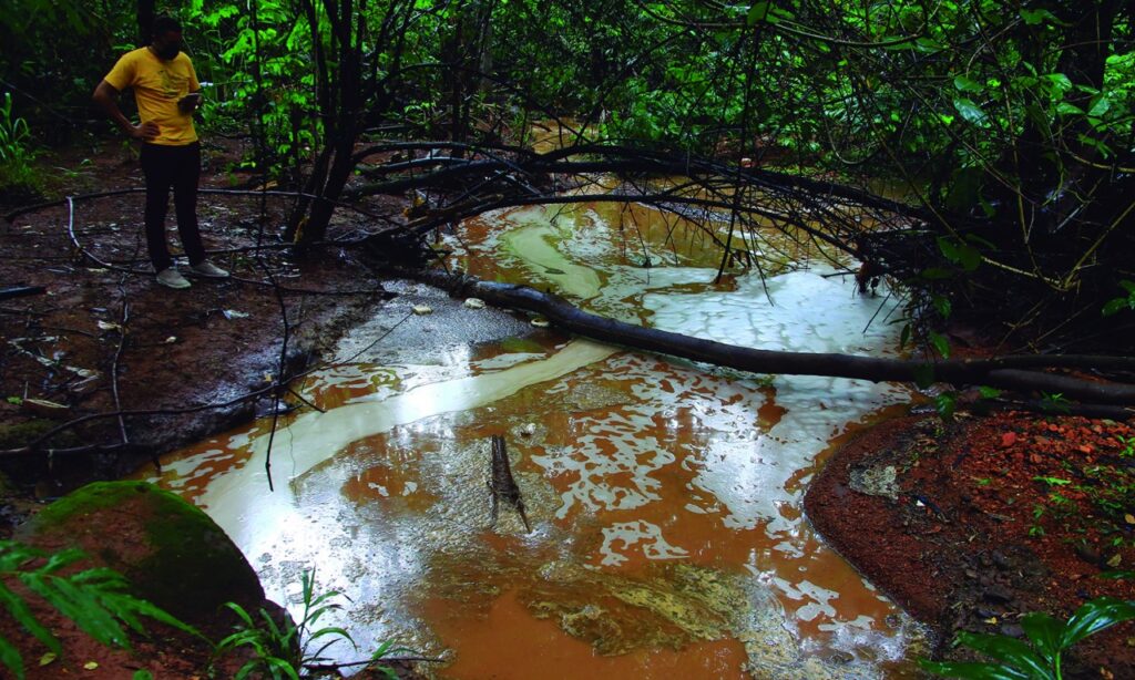 Poluição de córrego  sinaliza crime ambiental em Senador Canedo