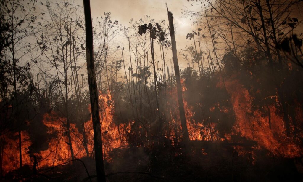 Homem preso em Goiânia é suspeito de comandar incêndios na Amazônia