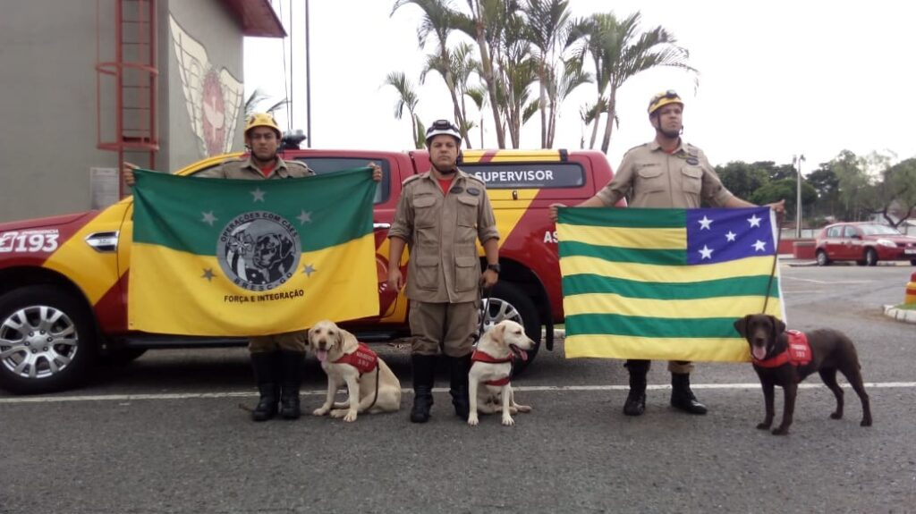 Dia Nacional do Bombeiro: governo entrega R$ 4