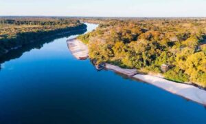 Construção de ponte que liga Goiás a Mato Grosso é autorizada pelo Ibama