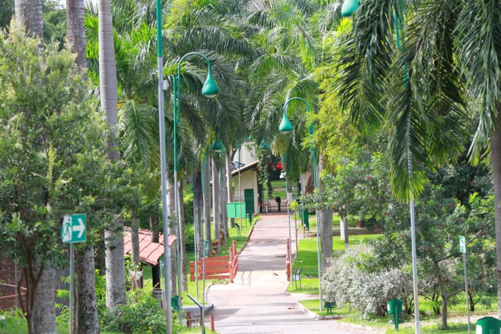 Zoológico e Mutirama abrem no feriado em Goiânia