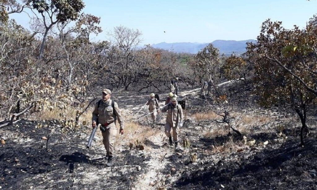 Fogo consome três mil hectares da Serra Dourada na Cidade de Goiás