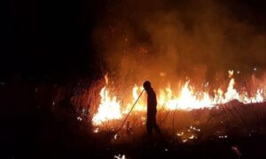 Bombeiros combatem por 3h incêndio próximo ao Oscar Niemeyer