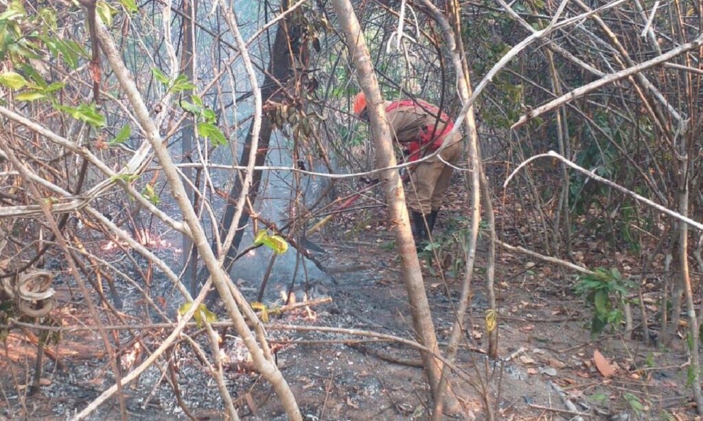 Maior parte do incêndio na Chapada dos Veadeiros é controlada