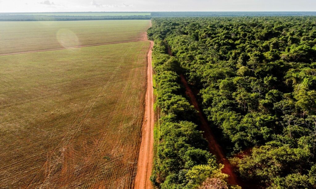 Governo Federal quadruplica indenizações por desapropriação de terras