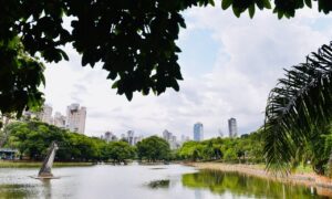 Lugares ao ar livre mais próximos do verde em Goiânia