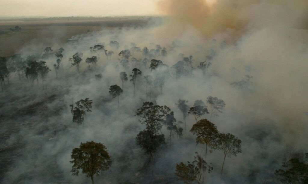 21 capitais do País convocam atos em defesa da Amazônia