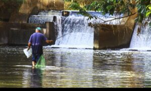 Vazão do Meia Ponte deixa abastecimento de Goiânia em estado de alerta