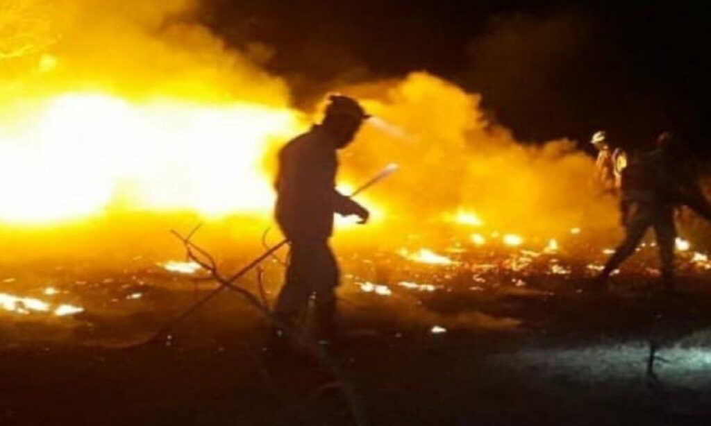 Corpo de Bombeiros combatem fogo em uma área de preservação ambiental em Brazabantes