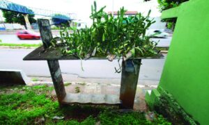 Metade dos pontos de parada de ônibus em Goiânia não possui abrigos