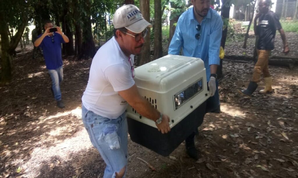 Veterinário diz que situação de abrigo ficou ruim após prisão de João de Deus