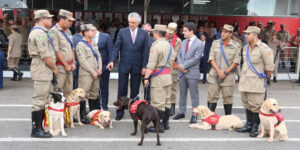 Bombeiros e cães enviados para Brumadinho são homenageados pelo governador Caiado