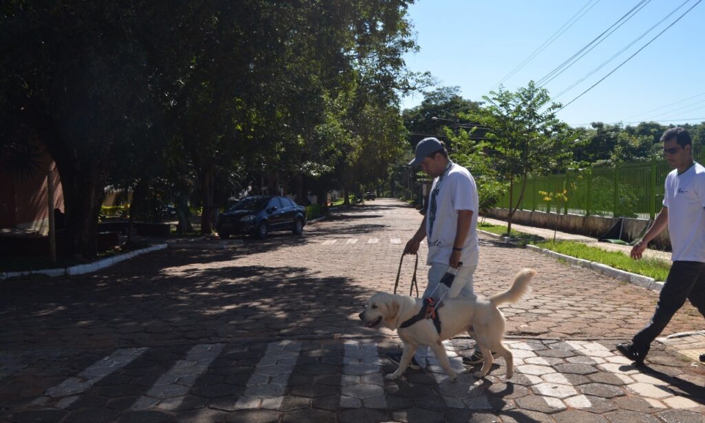 Programa Cão-Guia procura famílias socializadoras voluntárias