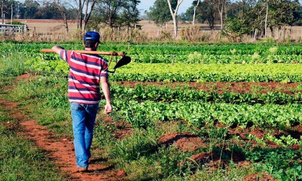 Programa vai beneficiar famílias de agricultores em vulnerabilidade social