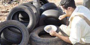 Trabalhos de combate à Dengue são intensificados em Goiânia