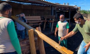 Reeducandos transformam árvores caídas em mobiliário para parques de Goiânia