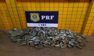 PRF prende rapaz com 50 quilos de drogas na BR-364