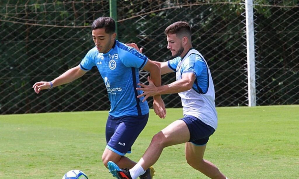 Goiás encara Grêmio na última rodada buscando a 9ª colocação