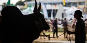 Começam as atividades da 74ª Exposição Agropecuária do Estado de Goiás