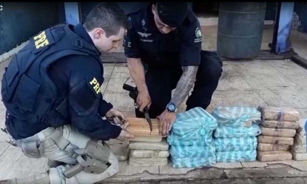 50 kg de ‘supermaconha’ são apreendidas em Jussara com homem de 33 anos