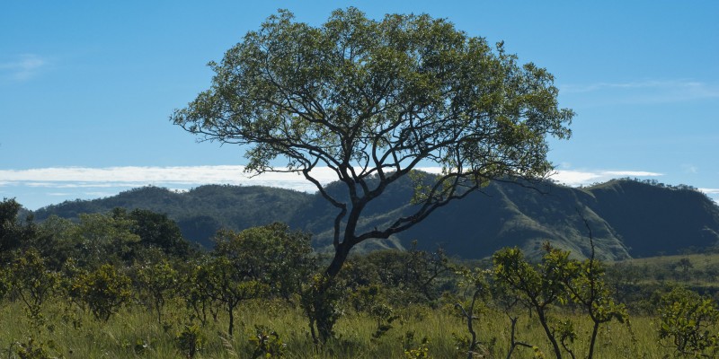 Legislação ambiental será discutida por Forum