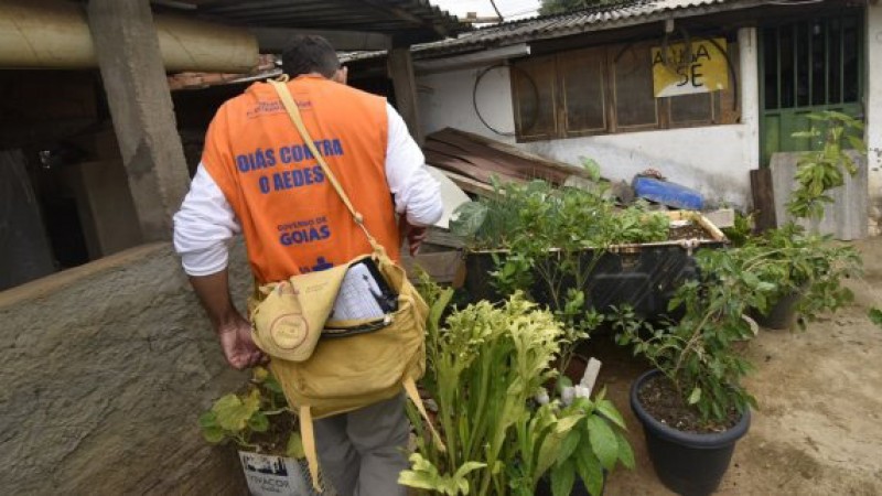 Sistema para combate ao Aedes vence prêmio nacional