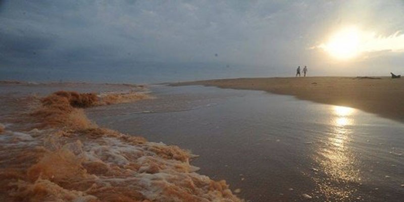 Fórum Visual reúne fotógrafos e documentaristas em Goiânia