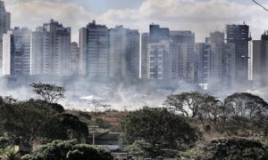 Gari que incendiou vegetação próxima ao Niemeyer pode ter ateado fogo no Parque Sabiá