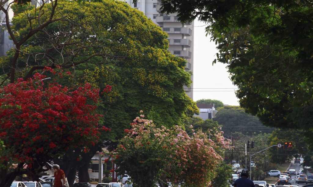 Chuvas e clima ameno deve durar até a próxima semana