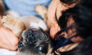 Como os cães escolhem o seu humano preferido?