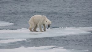 Aquecimento global se tornou irreversível