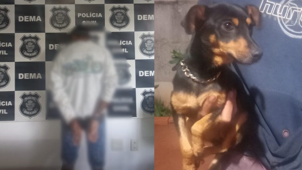 Homem é preso por praticar zoofilia com cães