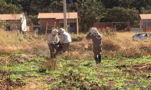 Idoso tenta fugir de abelhas e cai em cisterna