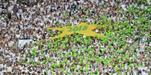 Palmeiras levanta taça e Sport e América caem para a Série B