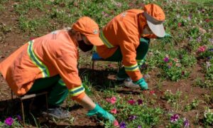 Dia do Gari é celebrado com pedido de conscientização em Goiânia