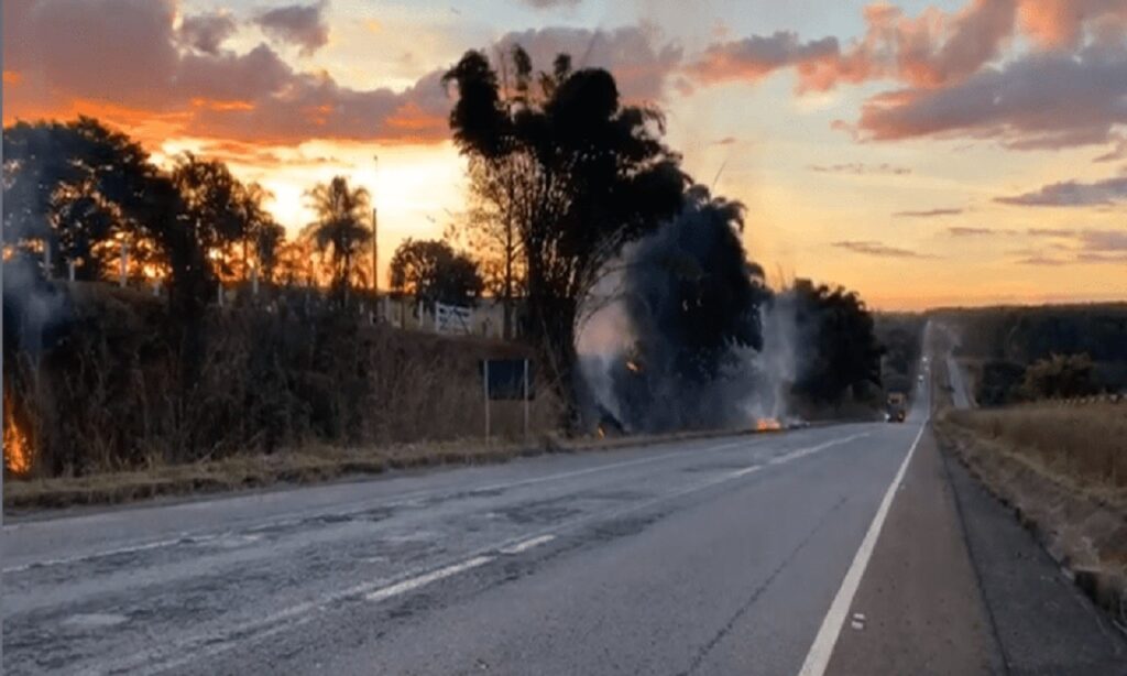 Homens são presos após serem flagrados ateando fogo em vegetação às margens de rodovia