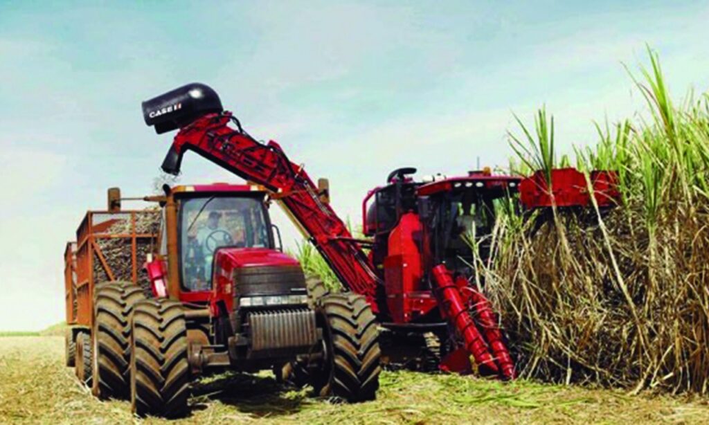 Jataí alcança 1° lugar na produção de cana-de-açúcar