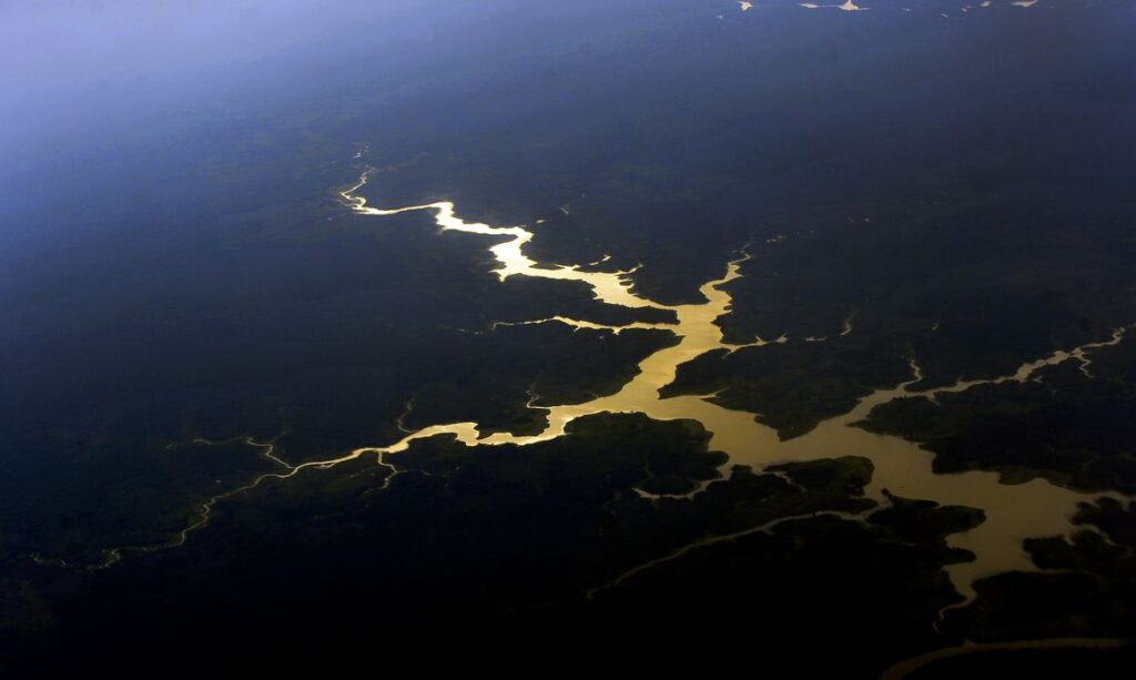 Brasil é o primeiro do mundo em potencial de descoberta de espécies