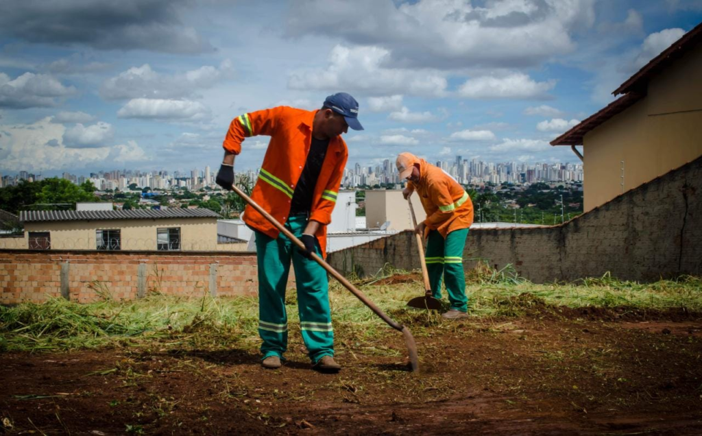 Saiba a forma correta de limpar lotes particulares e evitar multas de até R$ 5 mil