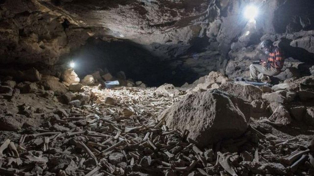 Pilha de ossos humanos e animais é descoberta em caverna na Arábia Saudita