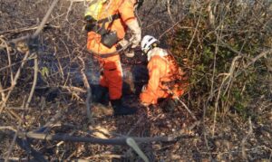 Meteorologia alerta para riscos de seca em Goiás