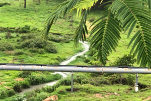 Mineradora que causou danos ambientais em Pilar de Goiás recebe R$ 500 mil em multas