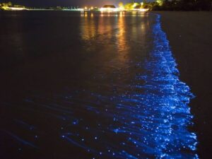 Fotógrafo registra luzes nas ondas do mar do Rio Grande do Sul; veja as imagens e entenda o fenômeno