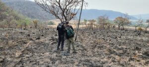 Quatro pessoas são indiciadas pela Polícia Civil por iniciarem incêndio na Chapada dos Veadeiros