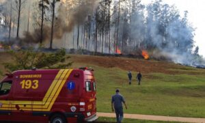 Queda de avião deixa 7 mortos; Celso Silveira